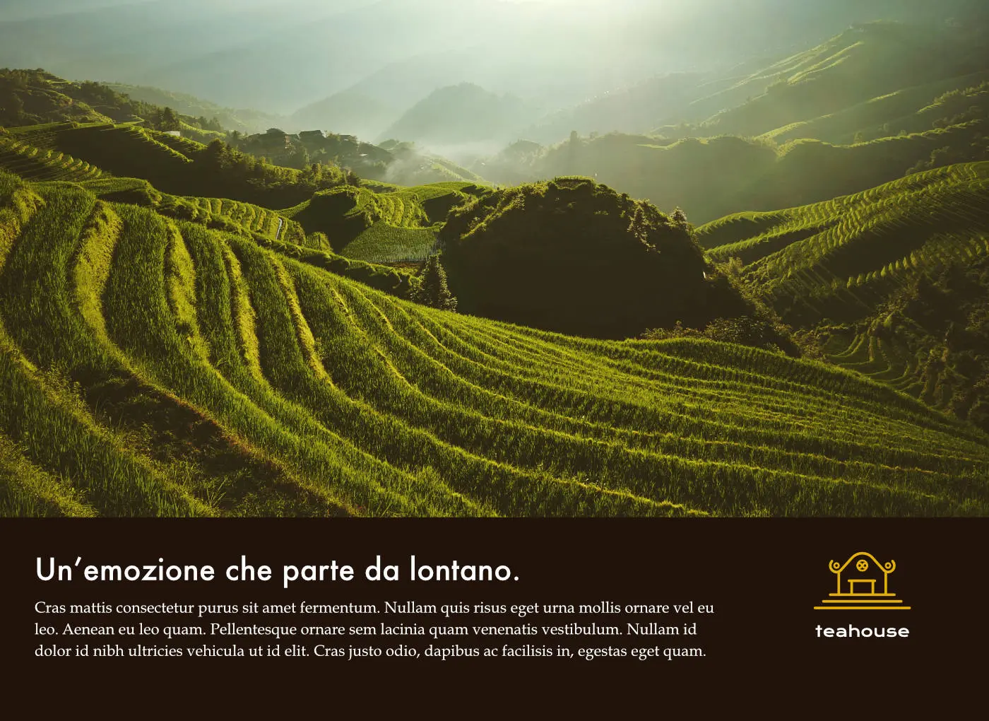 Teahouse - Promo formato pieno