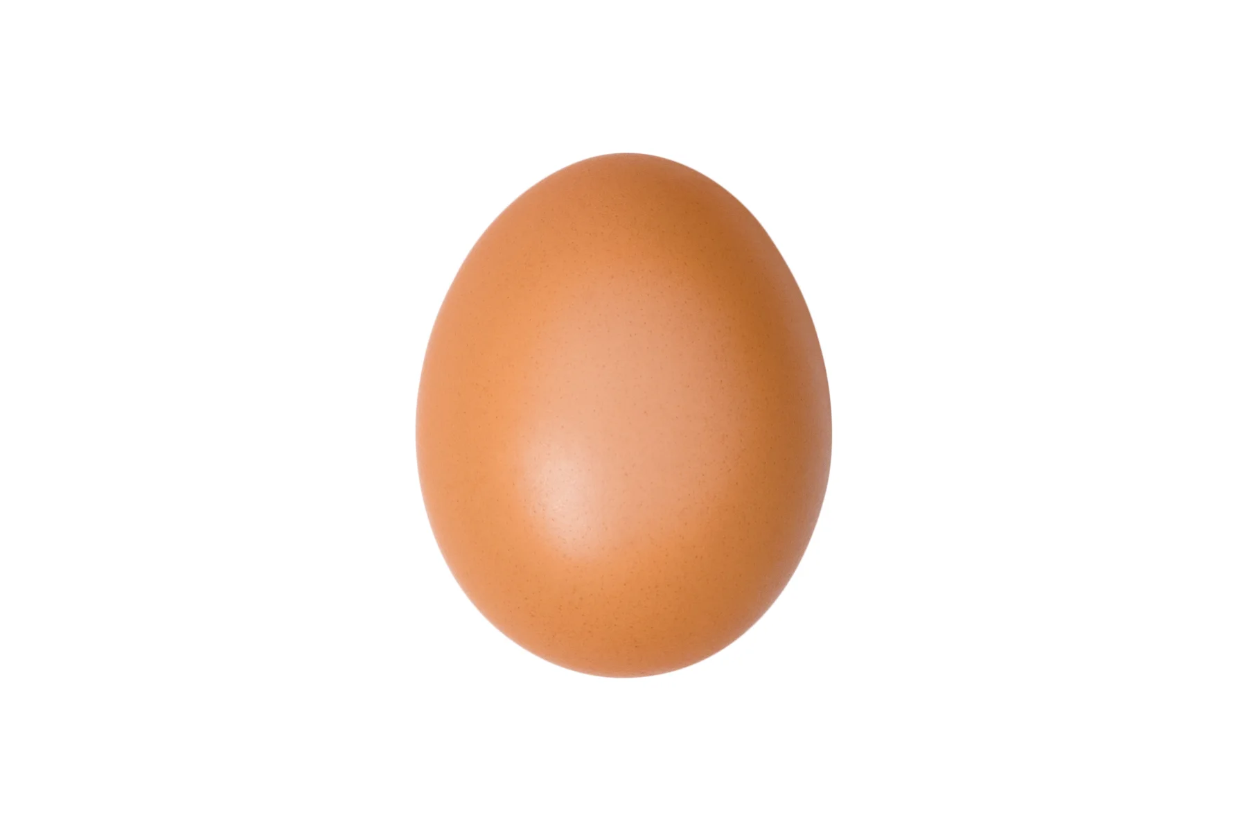 Uovo